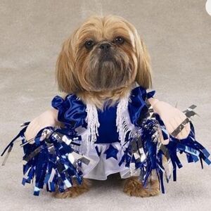 Zack & Zoey Spirit Paws Cheerleader Dog Costume New